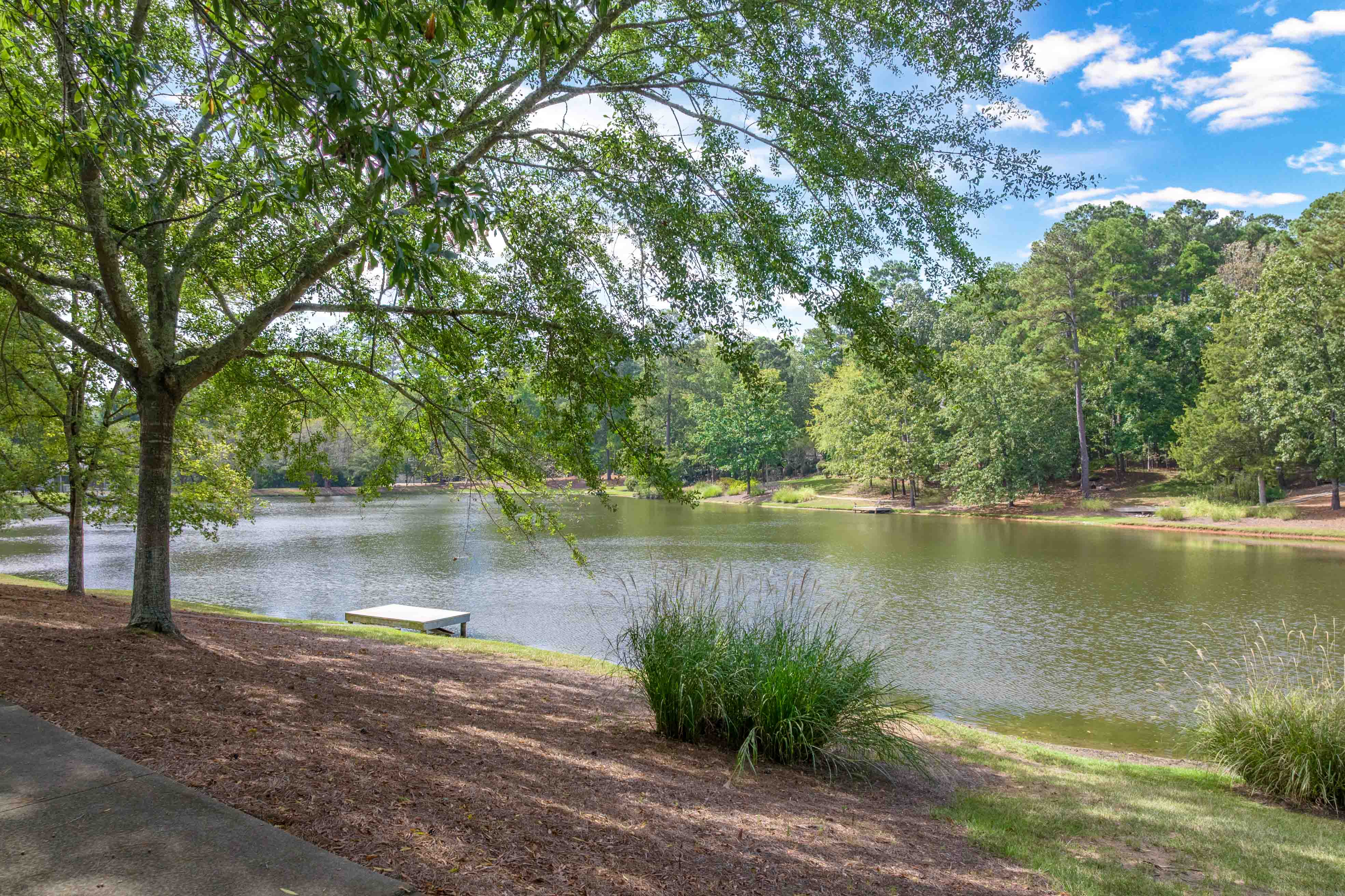 1011 Penfield Way image 62